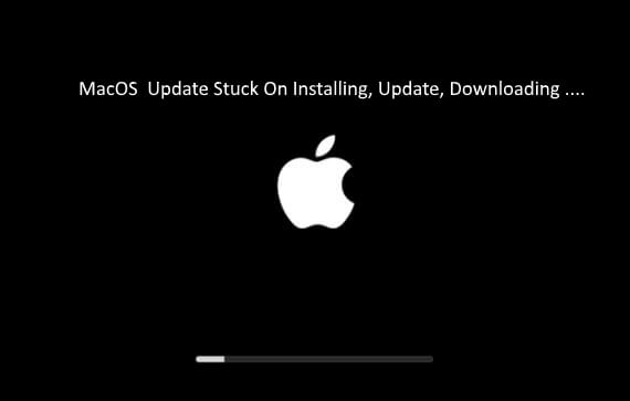 Mac mojave download size